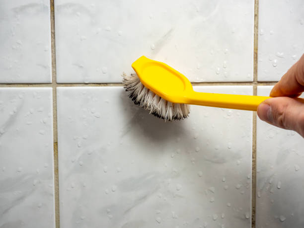 Best Black Mold Remediation in Belvidere, IL