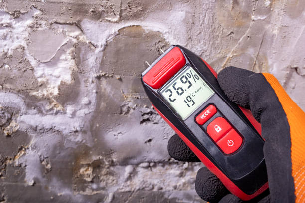 Best HVAC Mold Remediation in Belvidere, IL