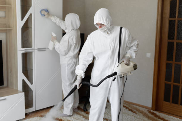 Best Post-Flood Mold Remediation in Belvidere, IL