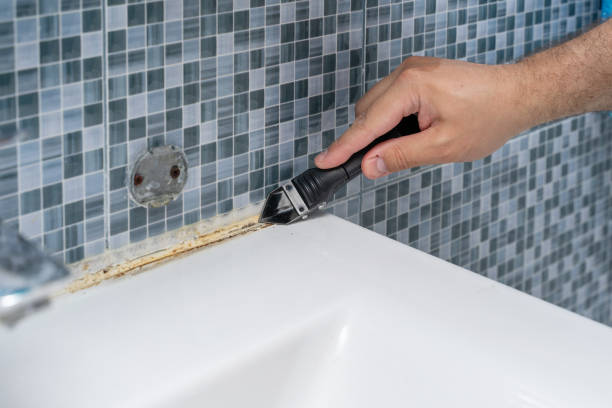 Best Emergency Mold Remediation in Belvidere, IL